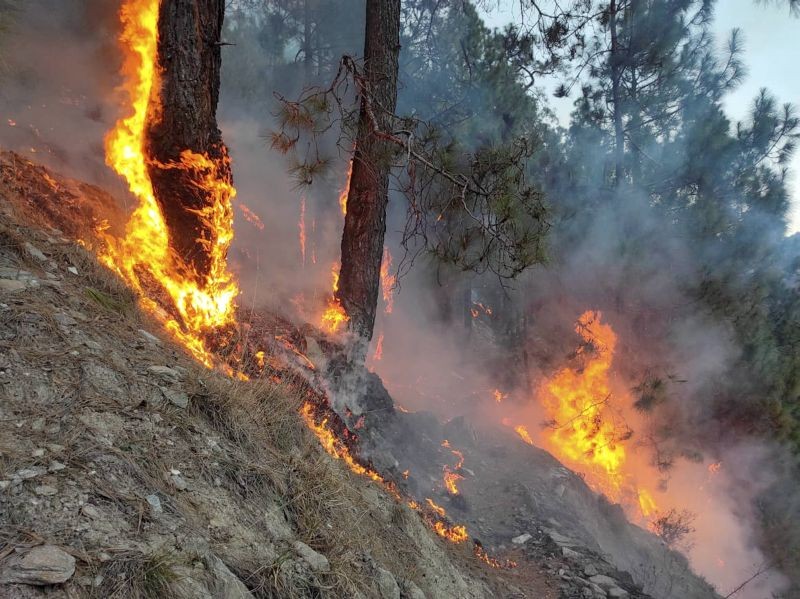 Bhadarwah:Vegetation burns during a forest fire that broke out in Kellar Forest Range in Jammu and Kashmir's Bhadarwah, Sunday, Jan. 31, 2021. (PTI Photo)